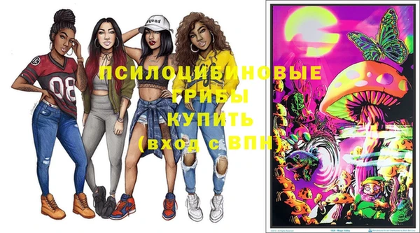 a pvp Зеленокумск