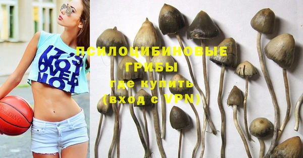 a pvp Зеленокумск
