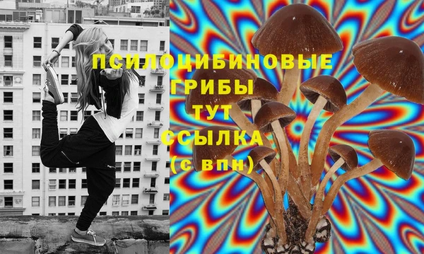 стаф Семёнов
