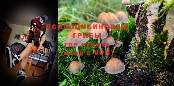метадон Инсар