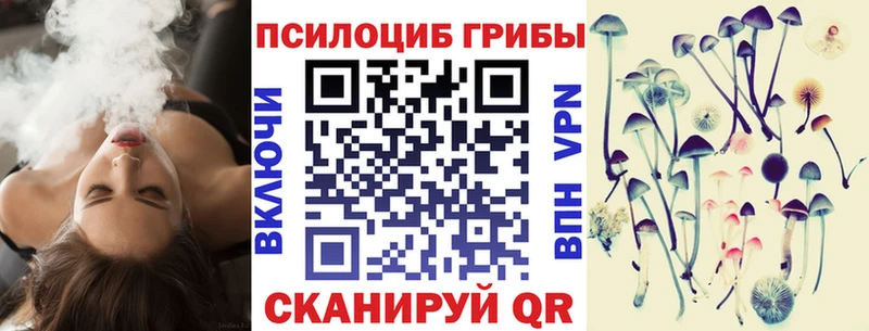 Псилоцибиновые грибы Cubensis  цена   Спасск-Дальний 