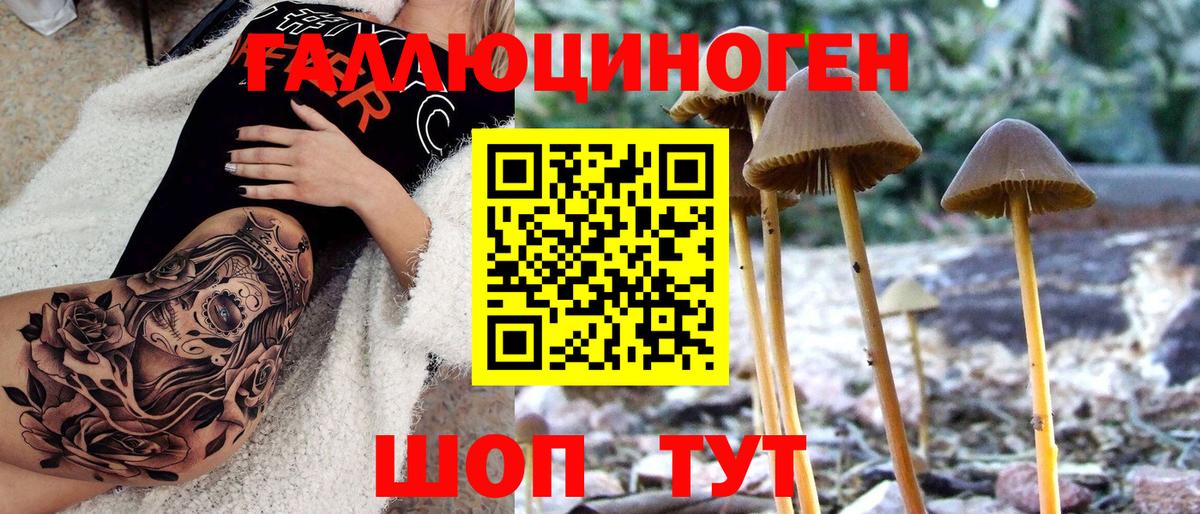 Галлюциногенные грибы Magic Shrooms Спасск-Дальний