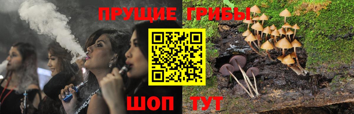 Галлюциногенные грибы Psilocybe Спасск-Дальний