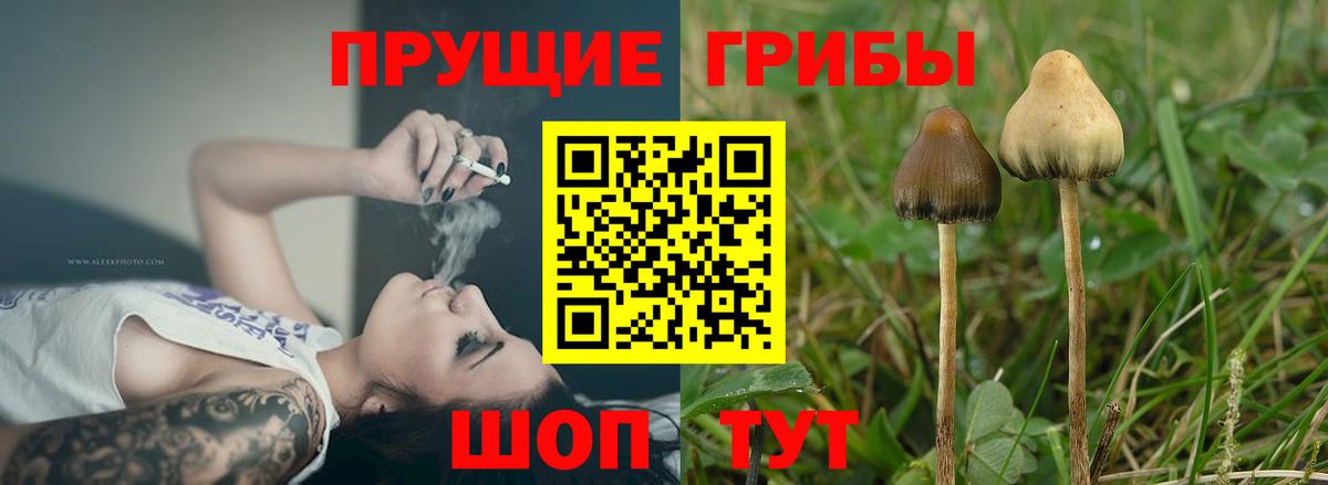 Псилоцибиновые грибы Magic Shrooms  Спасск-Дальний 